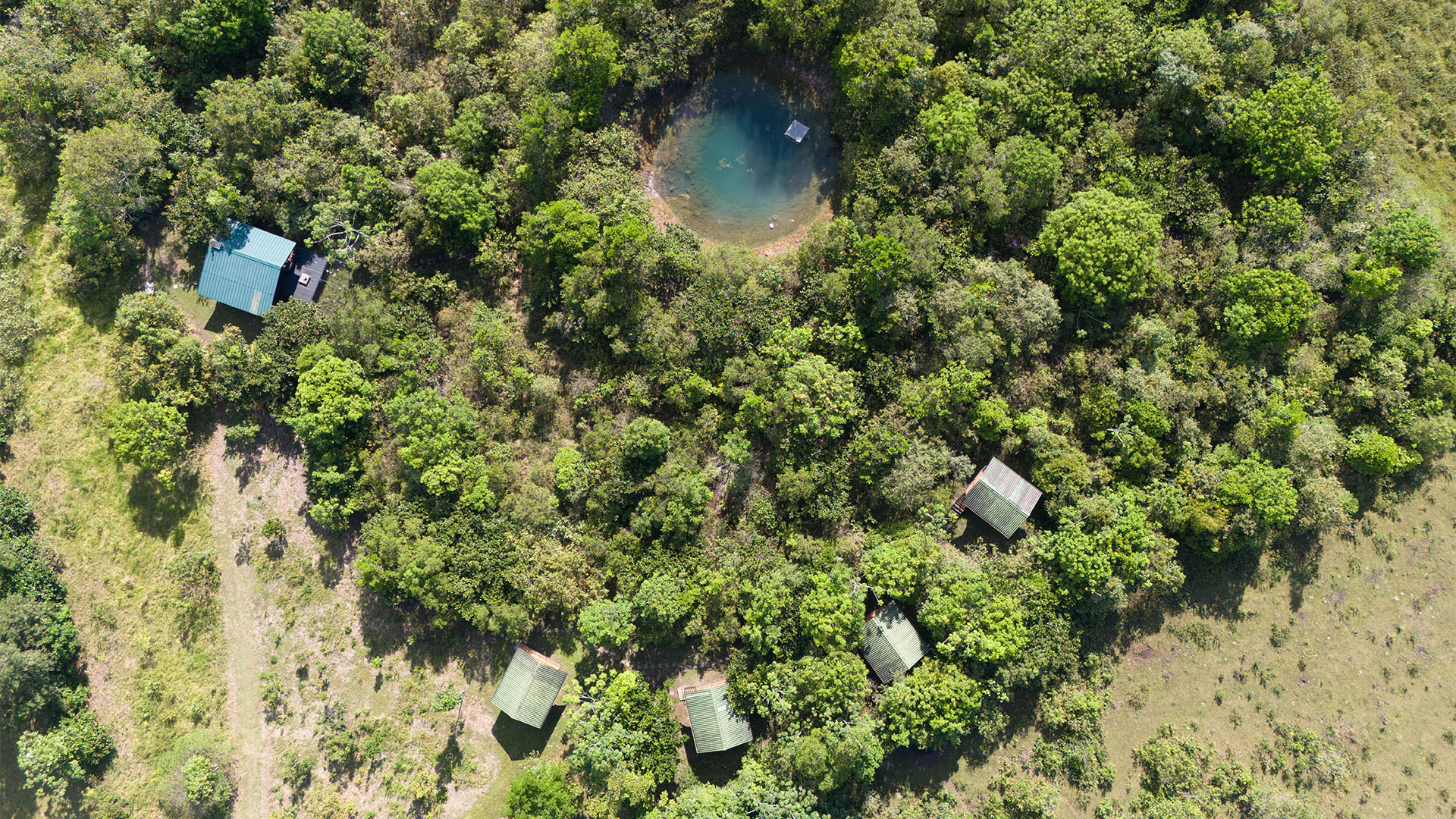 TNC_0007_DJI_20241005082421_0106_D