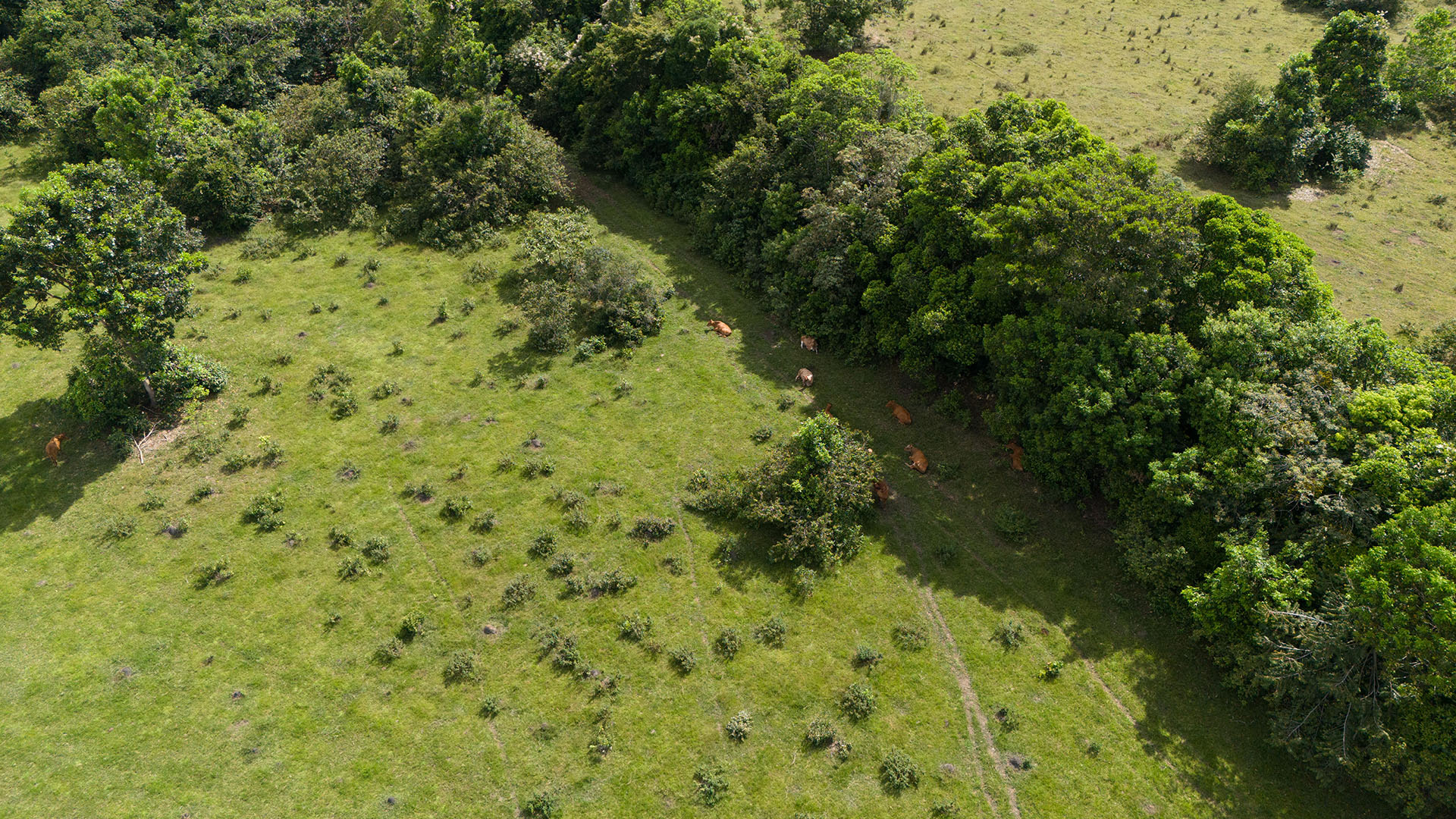 TNC_0010_DJI_20241005091451_0157_D